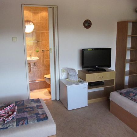 Pension U Vlasku カルロヴィ・ヴァリ 部屋 写真