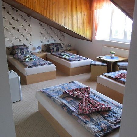 Pension U Vlasku カルロヴィ・ヴァリ 部屋 写真