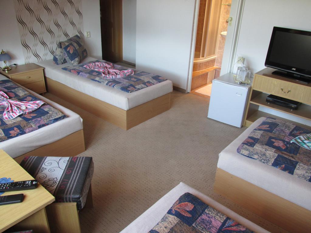 Pension U Vlasku カルロヴィ・ヴァリ 部屋 写真