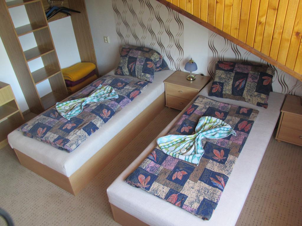 Pension U Vlasku カルロヴィ・ヴァリ 部屋 写真