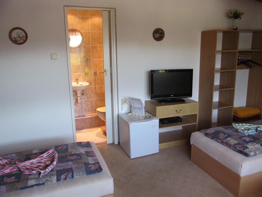 Pension U Vlasku カルロヴィ・ヴァリ 部屋 写真