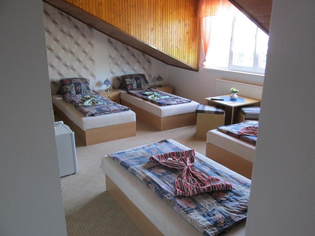 Pension U Vlasku カルロヴィ・ヴァリ 部屋 写真