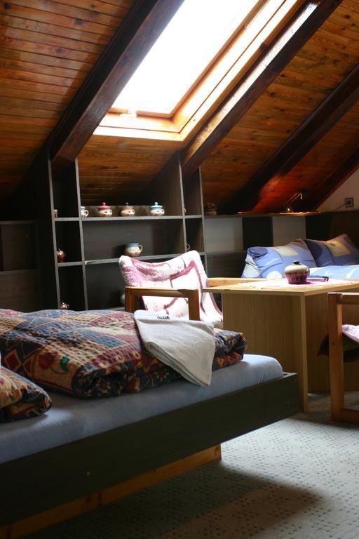 Pension U Vlasku カルロヴィ・ヴァリ 部屋 写真
