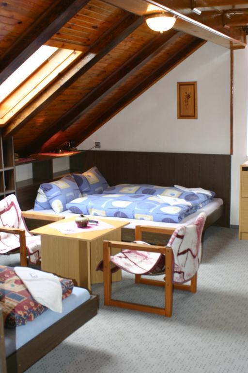 Pension U Vlasku カルロヴィ・ヴァリ 部屋 写真