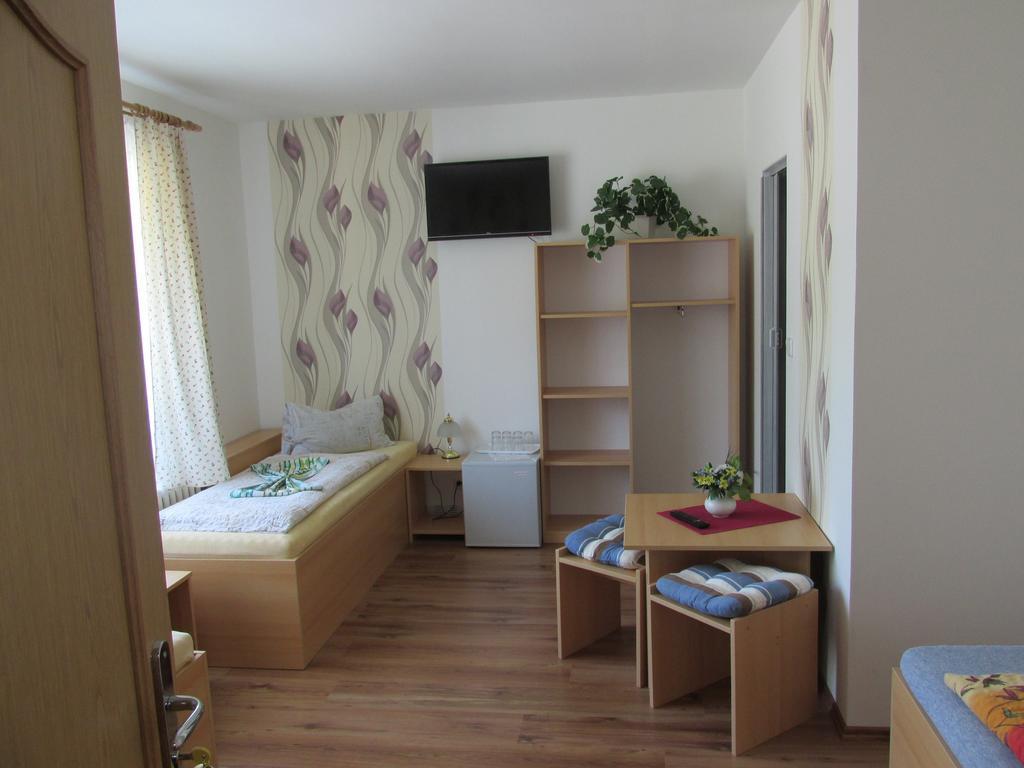 Pension U Vlasku カルロヴィ・ヴァリ 部屋 写真