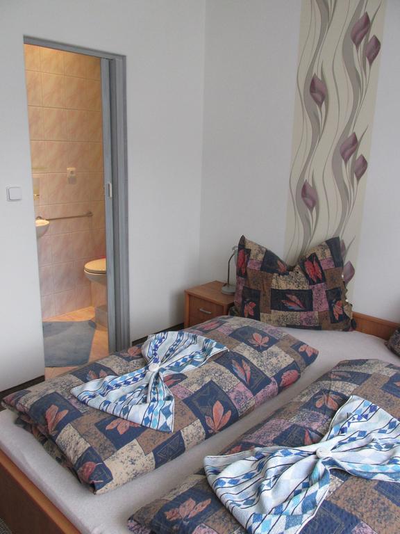 Pension U Vlasku カルロヴィ・ヴァリ 部屋 写真