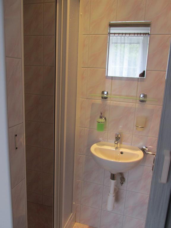 Pension U Vlasku カルロヴィ・ヴァリ 部屋 写真
