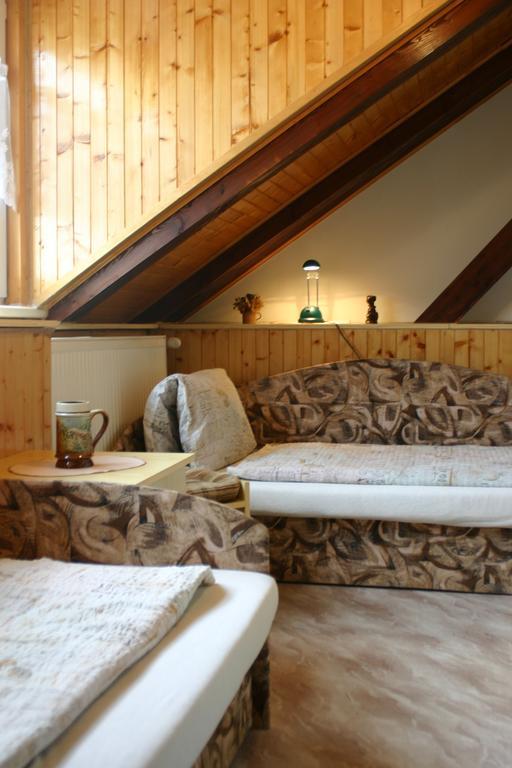 Pension U Vlasku カルロヴィ・ヴァリ 部屋 写真