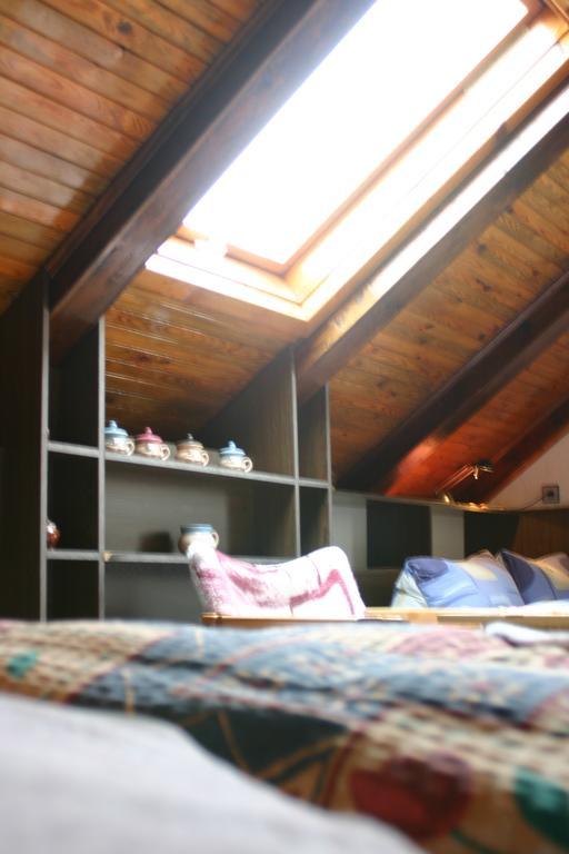 Pension U Vlasku カルロヴィ・ヴァリ 部屋 写真