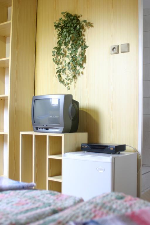 Pension U Vlasku カルロヴィ・ヴァリ 部屋 写真