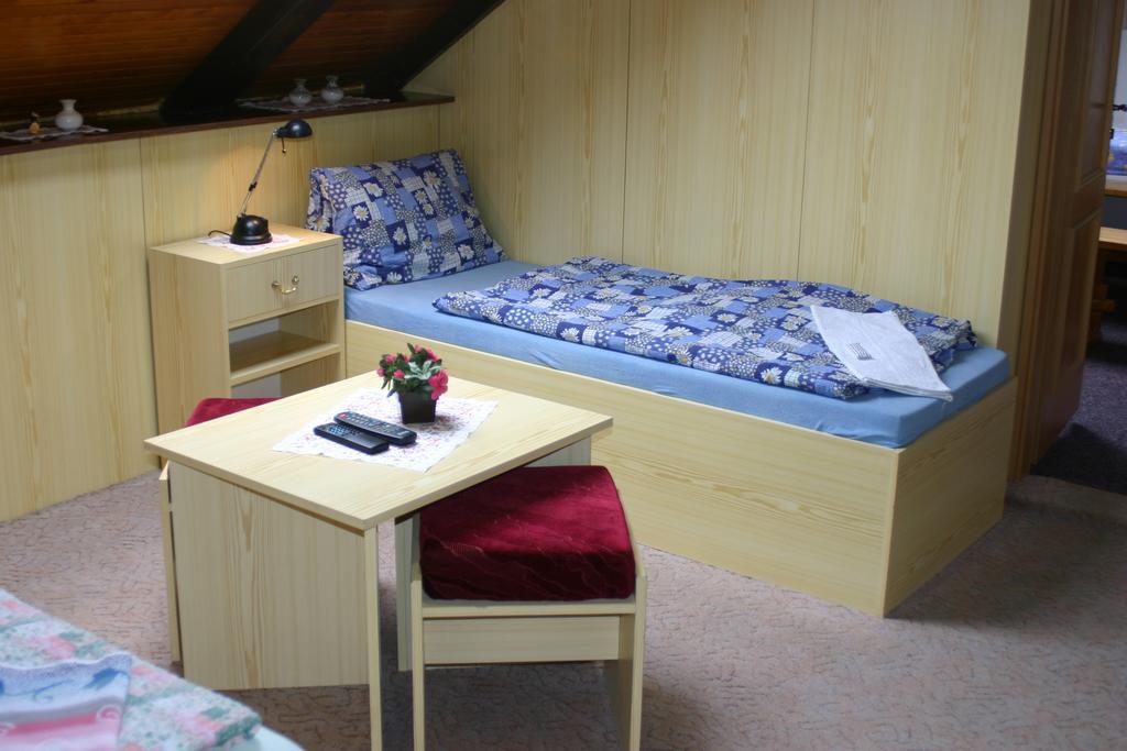 Pension U Vlasku カルロヴィ・ヴァリ 部屋 写真