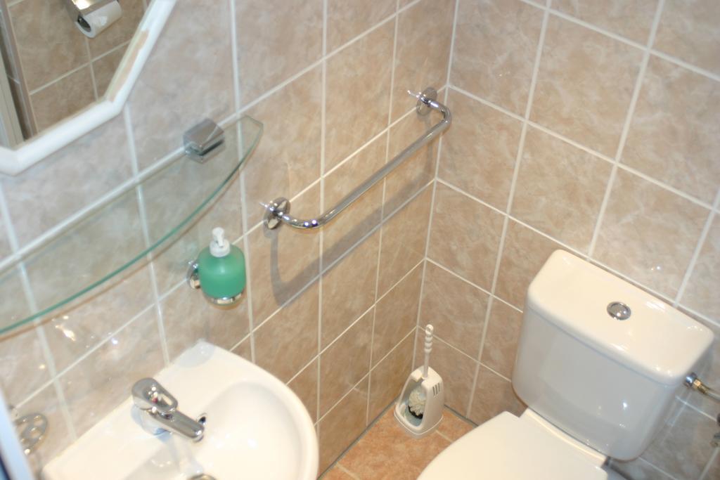 Pension U Vlasku カルロヴィ・ヴァリ 部屋 写真
