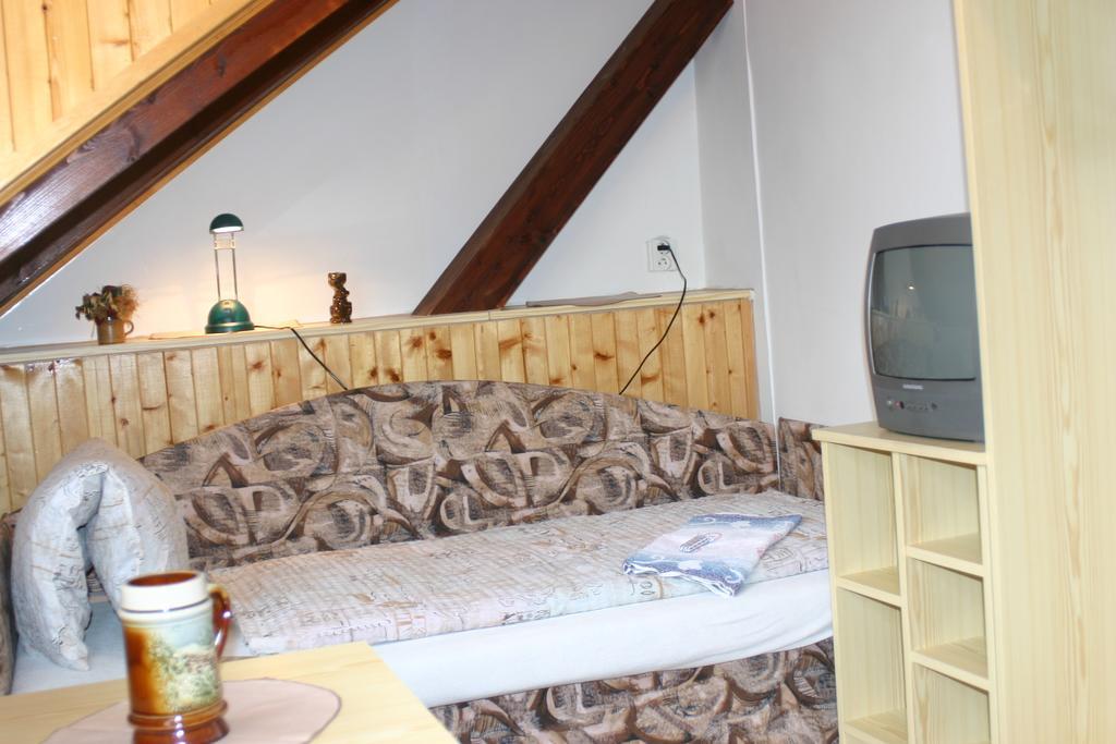 Pension U Vlasku カルロヴィ・ヴァリ 部屋 写真